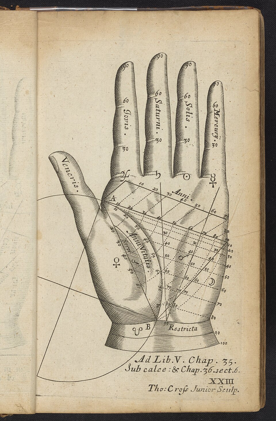 Engraved palmistry chart of the left hand from 1685 showing named lines and planetary symbols