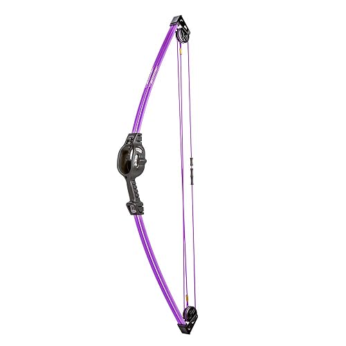 Bear Archery Spark Youth Bow Set